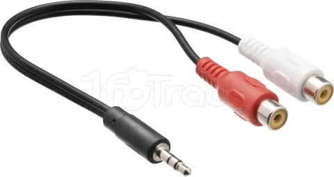 Photo de Adaptateur Audio Jack 3"1/2 vers 2 x RCA Femelle 0.20m