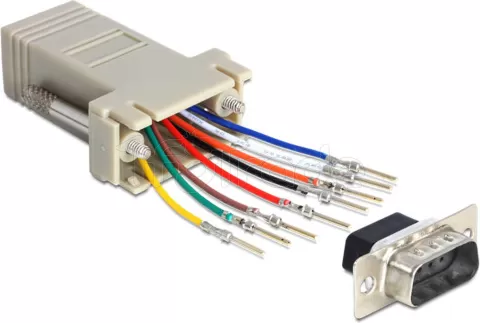 Photo de Adaptateur DB9 Delock vers RJ45 MM