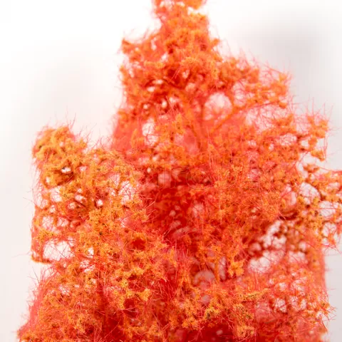 Photo de Ak Interactive Dioramas - Red Orange Fantasy Bushes 1/35