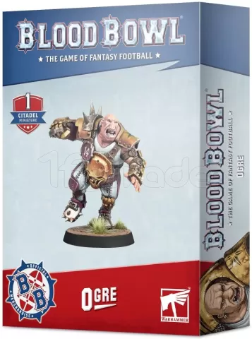 Photo de Blood Bowl - Gros Bras Ogre