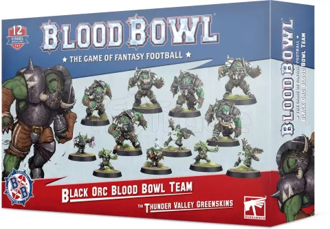 Photo de Blood Bowl - Team Orque Noir : The Thunder Valley Greenskins