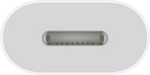 Photo de Câble adaptateur Apple Lightning mâle 1.2 vers USB-C 10cm (Blanc)