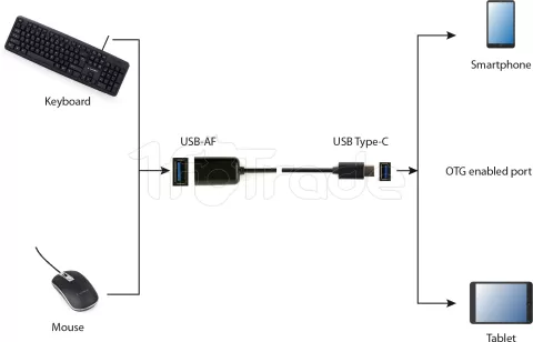 Photo de Câble Adaptateur CableXpert USB-C/A 2.0 OTG MF 20cm (Gris)