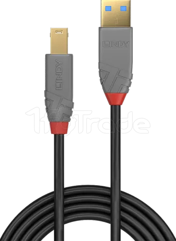 Photo de Cable Lindy Anthra Line USB 3.2 A/B M/M 1m (Gris)