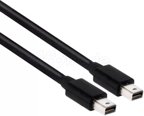 Photo de Cable Mini DisplayPort 1.4 Club3D M/M 2m (Noir)