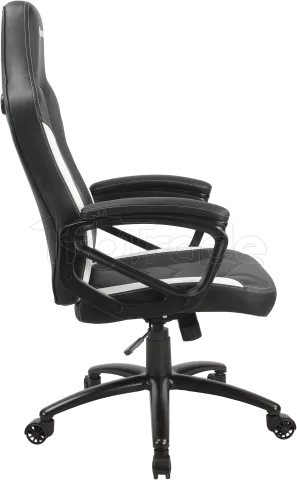 Photo de Fauteuil Azgenon Z100 (Noir/Blanc)