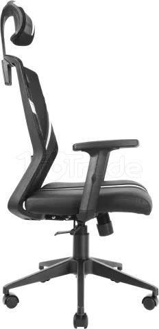 Photo de Fauteuil ergonomique Mars Gaming MGC Ergo (Noir/Blanc)