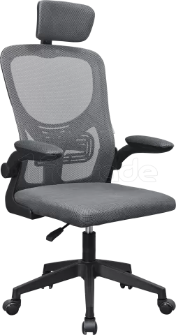 Photo de Fauteuil ergonomique Mars Gaming MGC-Ergo Plus (Gris/Noir)