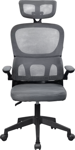 Photo de Fauteuil ergonomique Mars Gaming MGC-Ergo Pro (Gris)