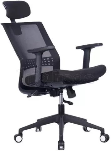 Photo de Fauteuil ergonomique We (Noir)