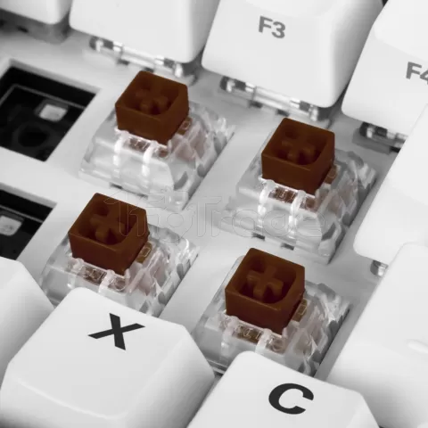 Photo de Jeu de 35 Switchs pour clavier mécanique Sharkoon Kailh Box Brown