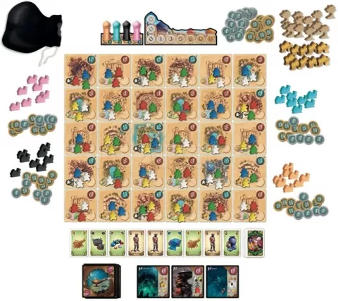 Photo de Jeu - Five Tribes