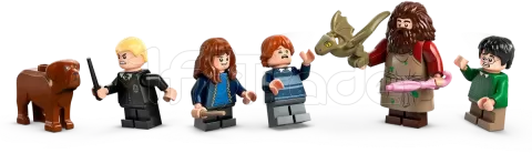 Photo de Lego Harry Potter 76428 - Cabane d'Hagrid