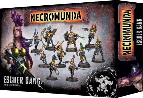 Photo de Necromunda : Gang Escher