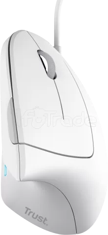 Photo de Souris filaire ergonomique Trust Verto (Blanc)