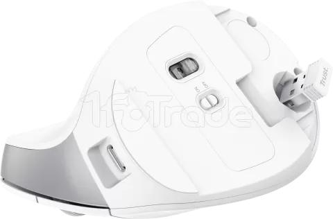 Photo de Souris sans fil ergonomique Trust Bayo II (Blanc)