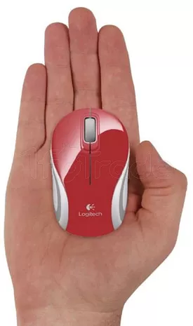 Photo de Souris sans fil Logitech Cordless Laser M187 (Rouge)