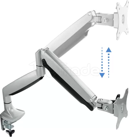 Photo de Support écran à fixer Tooq DB3032TNR 13"-32" (9kg max) (Argent)