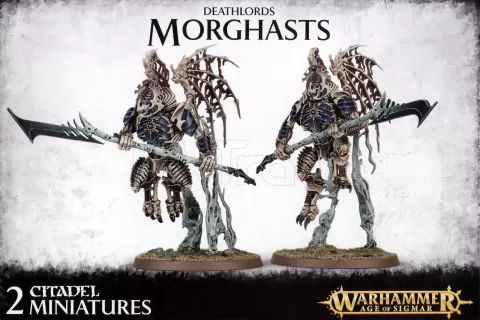 Photo de Warhammer AoS - Deathlord Morghasts