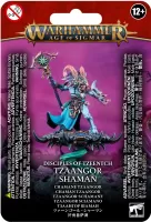 Photo de Warhammer AoS & 40k - Tzeentch Arcanites Tzaangor Shaman