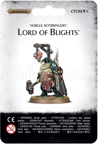 Photo de Warhammer AoS - Nurgle Seigneur des Plaies