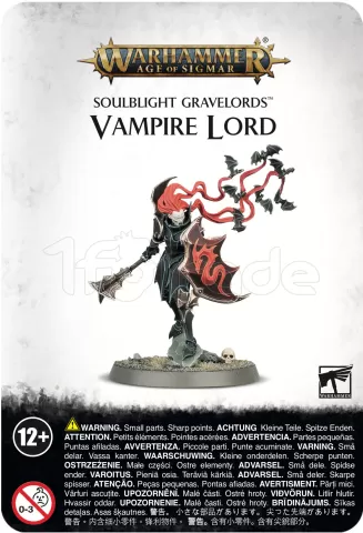 Photo de Warhammer AoS - Soulblight Gravelords Vampire Lord